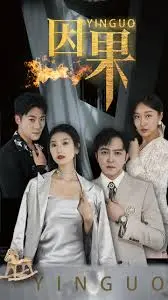 《因果2024》全集高清完整版在线观看与剧情解析