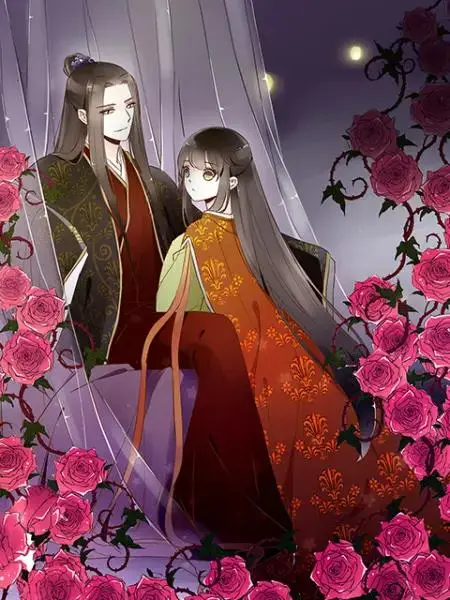 《帝王侧动态漫》全集高清完整版在线观看与剧情解析