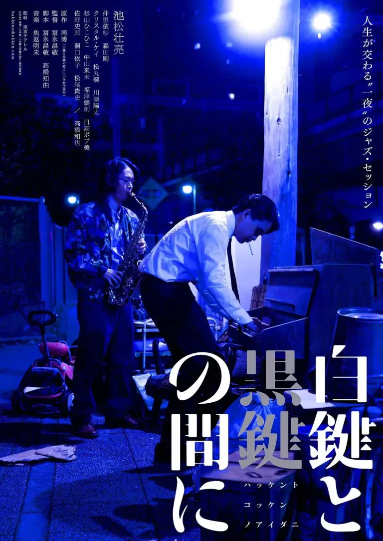 《白键与黑键之间》全集高清完整版在线观看与剧情解析