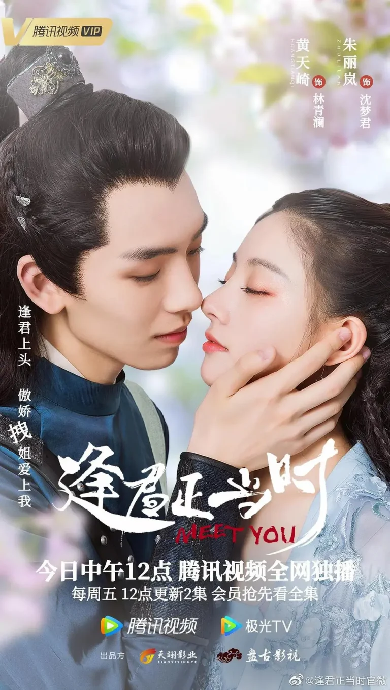 《逢君正当时》全集高清完整版在线观看与剧情解析