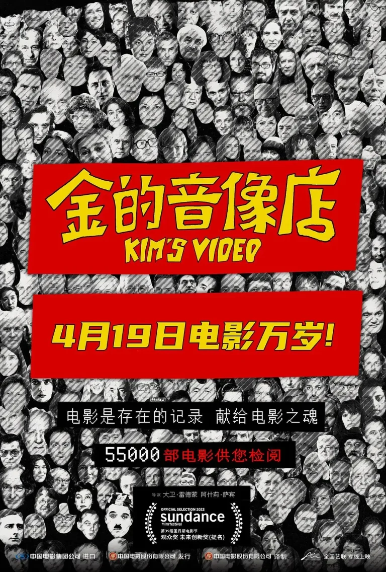 《金的音像店》全集高清完整版在线观看与剧情解析